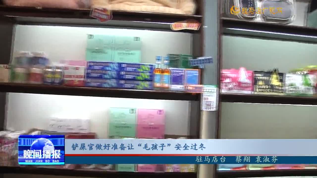 铲屎官做好准备让“毛孩子”安全过冬