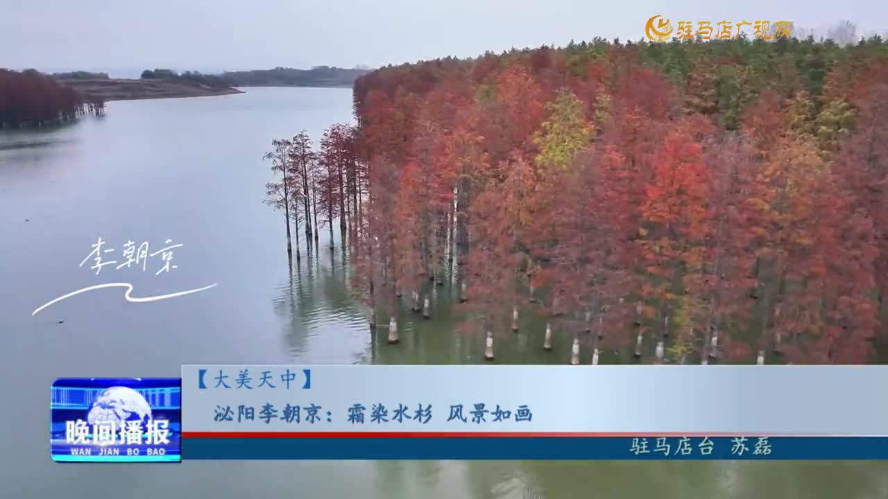 【大美天中】泌陽(yáng)李朝京：霜染水杉 風(fēng)景如畫