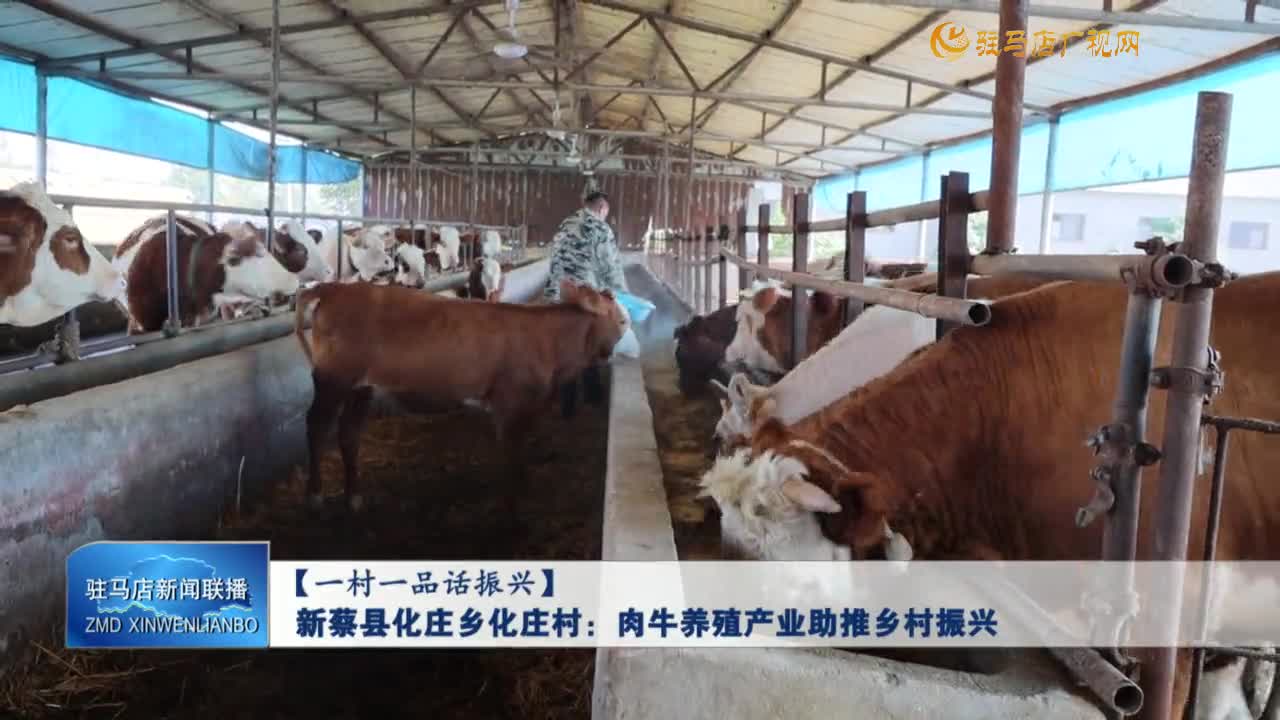 【一村一品话振兴】新蔡县化庄乡化庄村：肉牛养殖产业助推乡村振兴