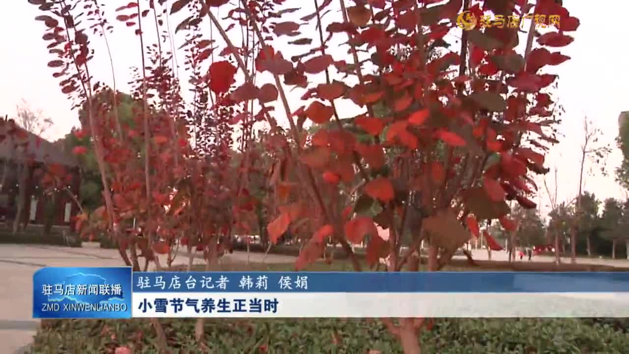 小雪节气养生正当时