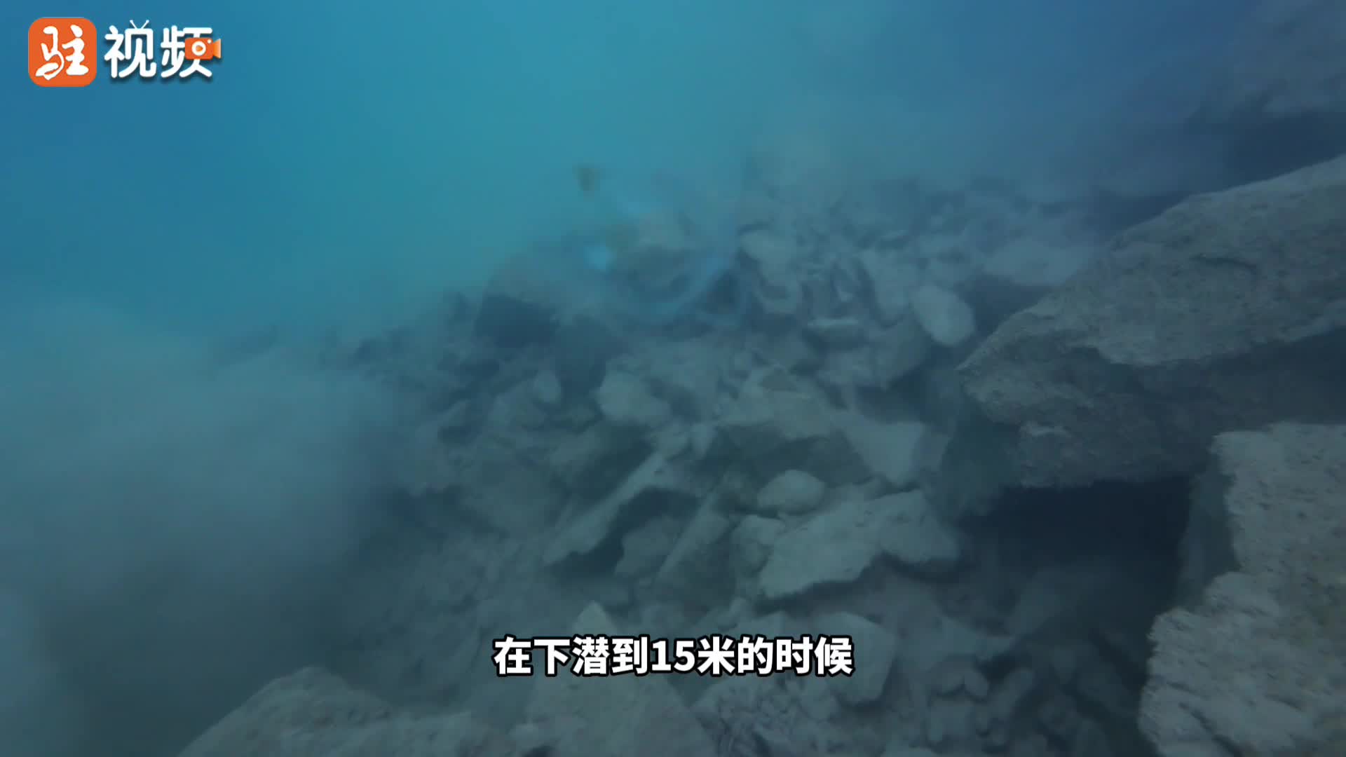 确山县一矿坑发现“水中大熊猫”桃花水母......|《今日驻马店》资讯第56期