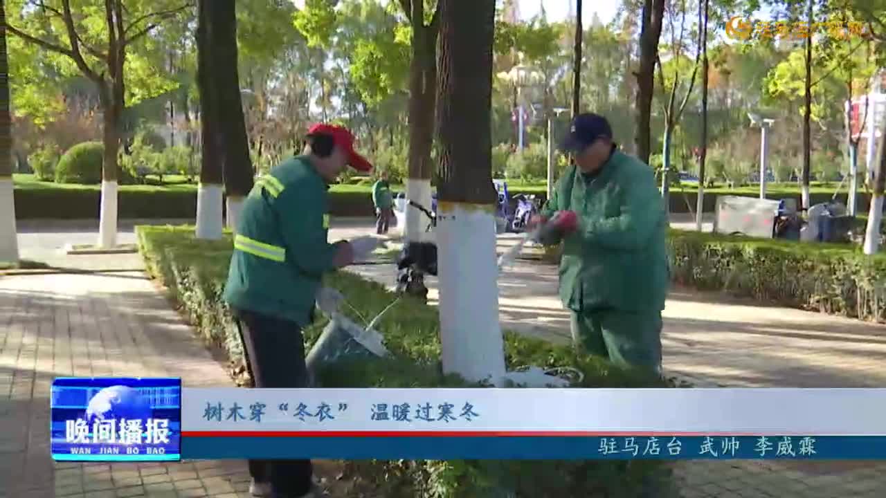 树木穿“冬衣” 温暖过寒冬