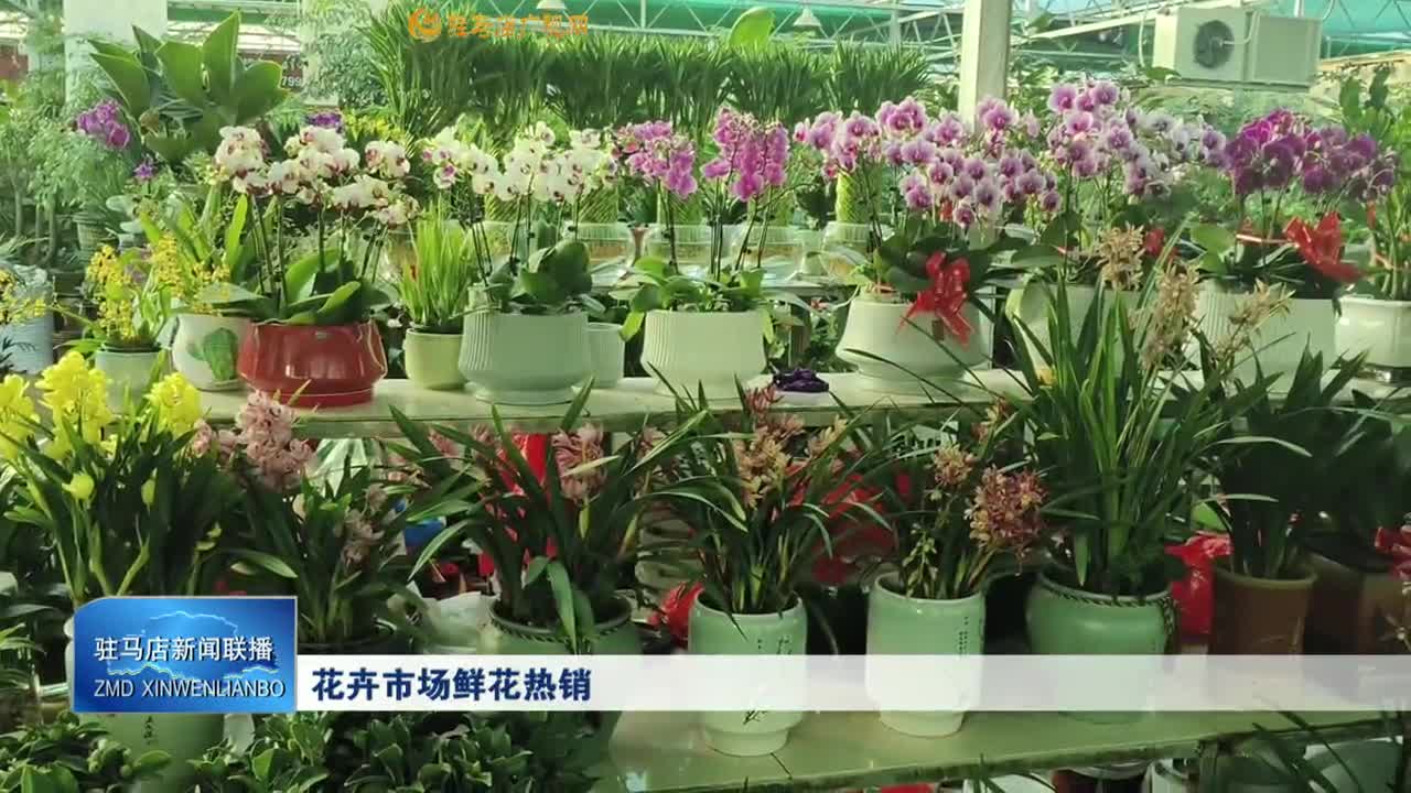 花卉市場(chǎng)鮮花熱銷