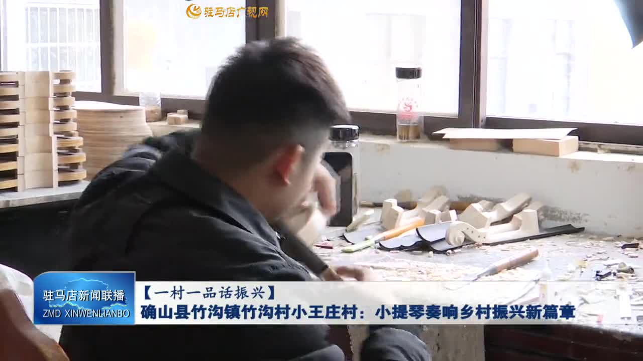 【一村一品话振兴】确山县竹沟镇竹沟村小王庄村：小提琴奏响乡村振兴新篇章