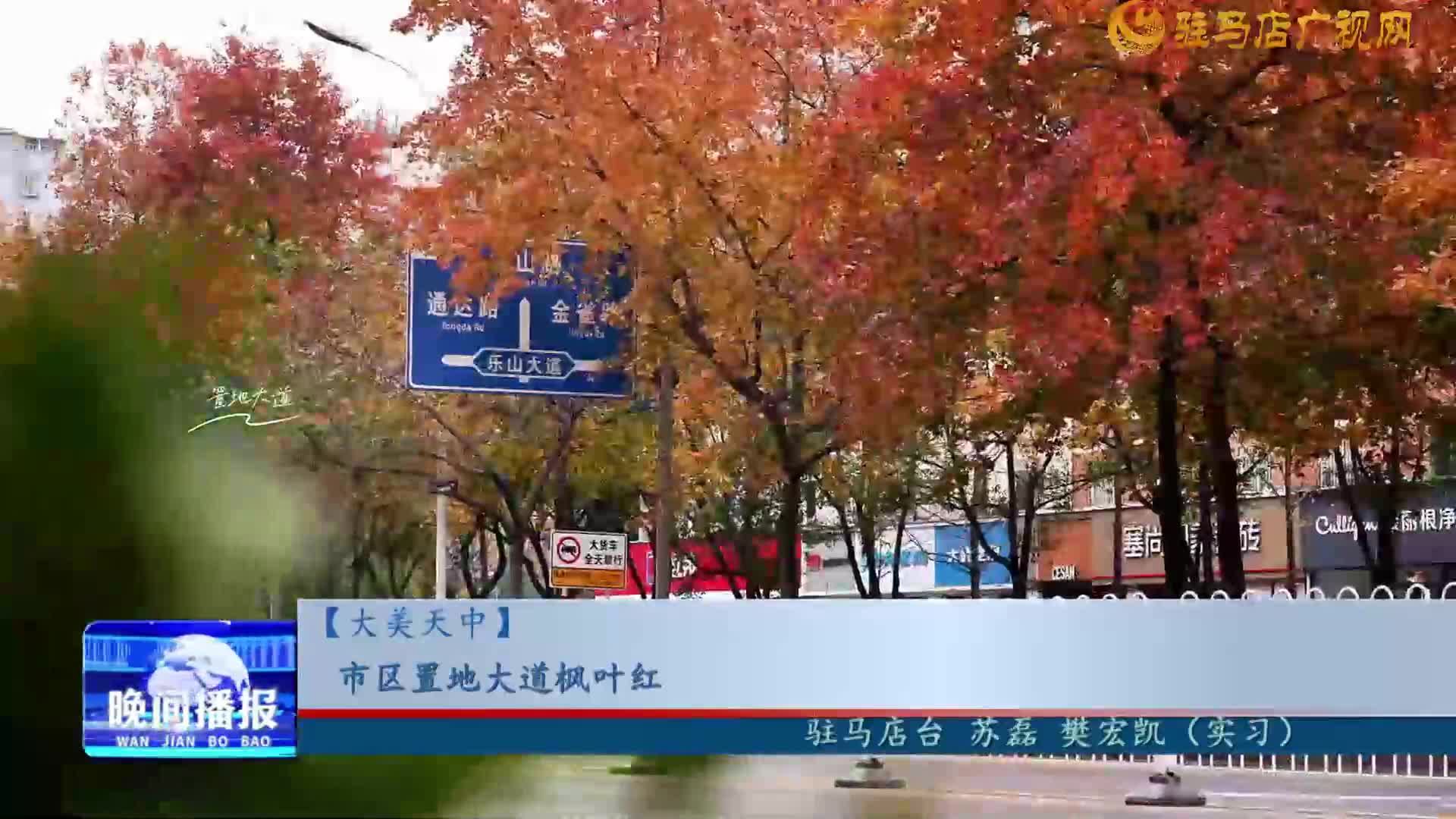 【大美天中】市區(qū)置地大道楓葉紅