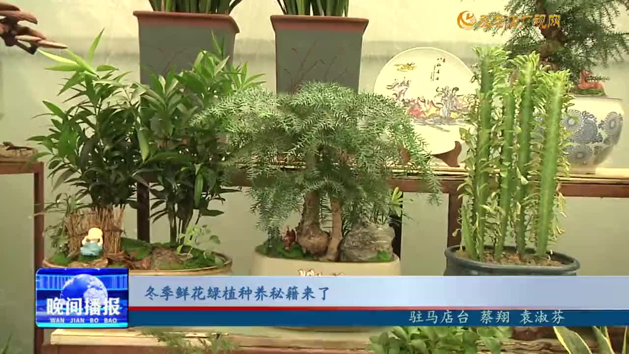 冬季鮮花綠植種養(yǎng)秘籍來了