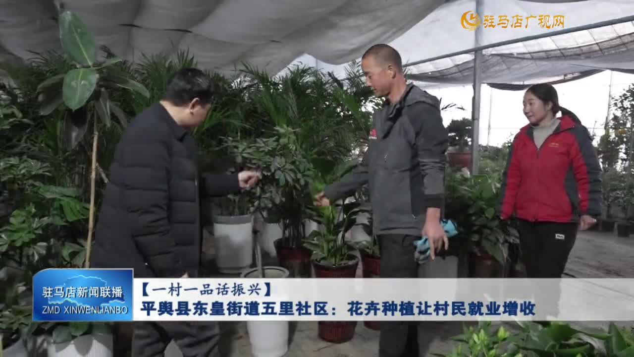 【一村一品話振興】平輿縣東皇街道五里社區(qū)：花卉種植讓村民就業(yè)增收