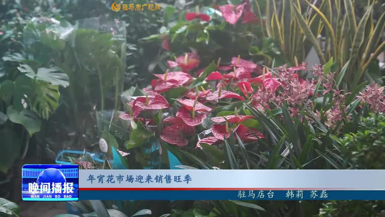 年宵花市場迎來銷售旺季