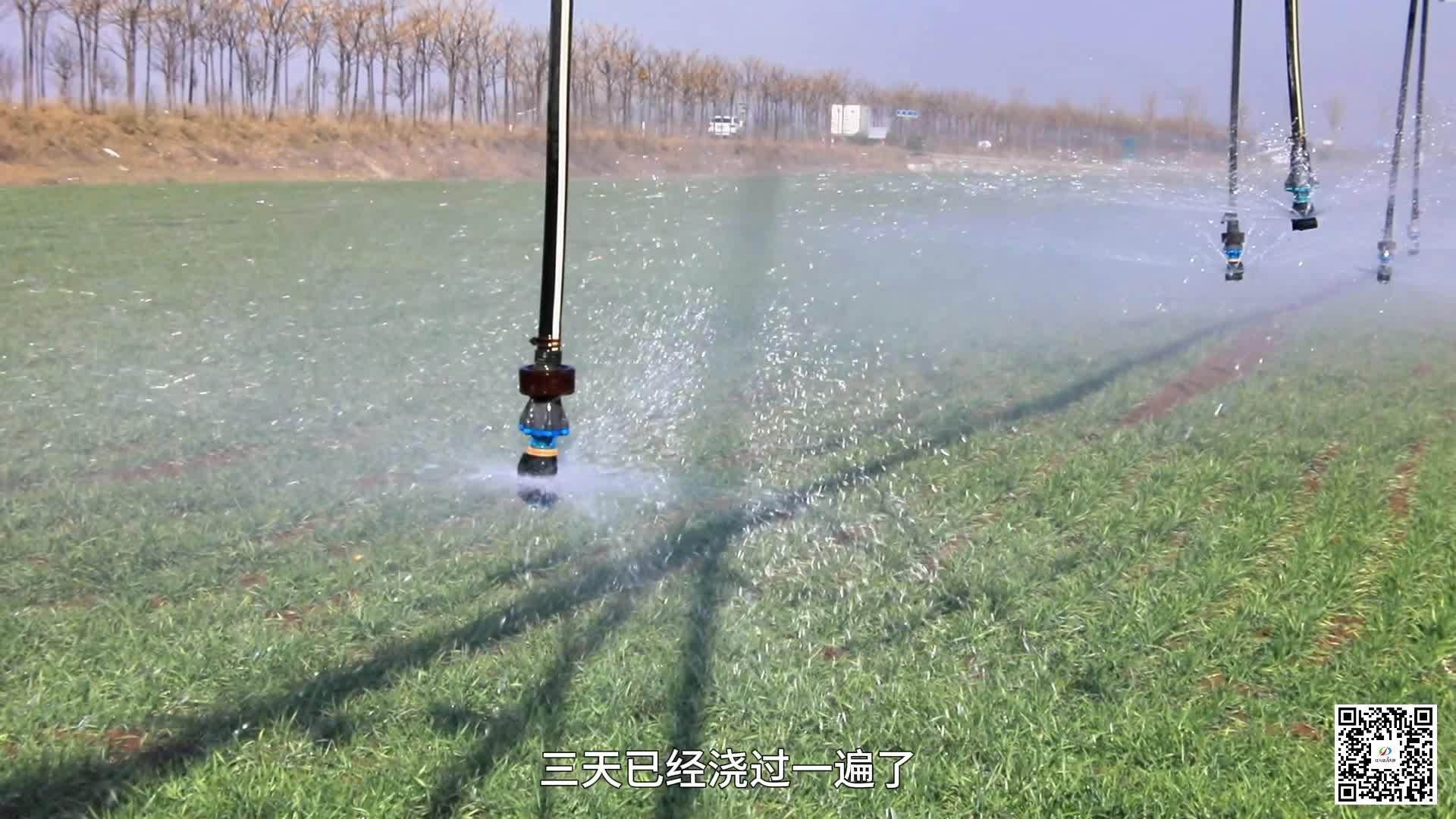 浇好“越冬水”打好小麦丰产丰收基础