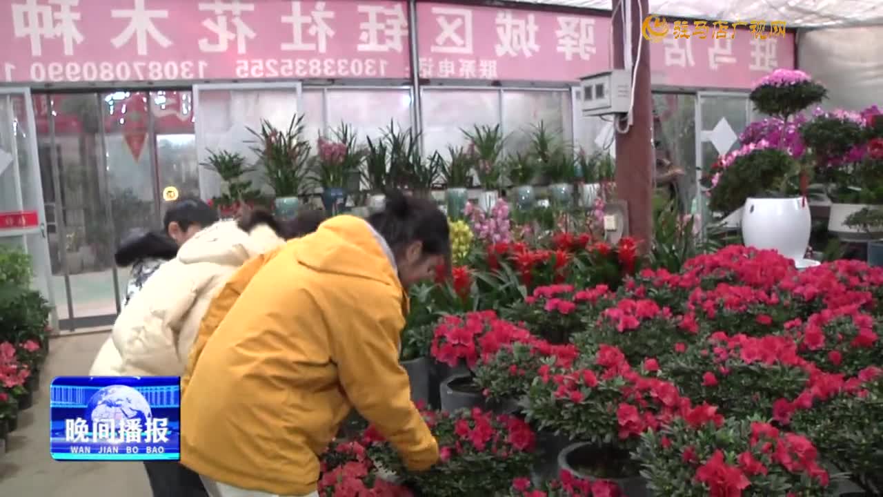 【节前看消费】春节临近  年宵花热销