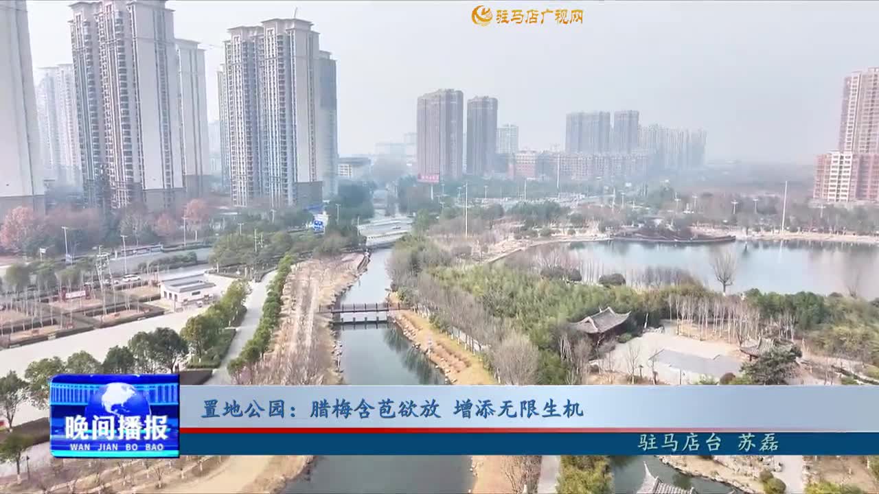 置地公園：臘梅含苞欲放 增添無限生機