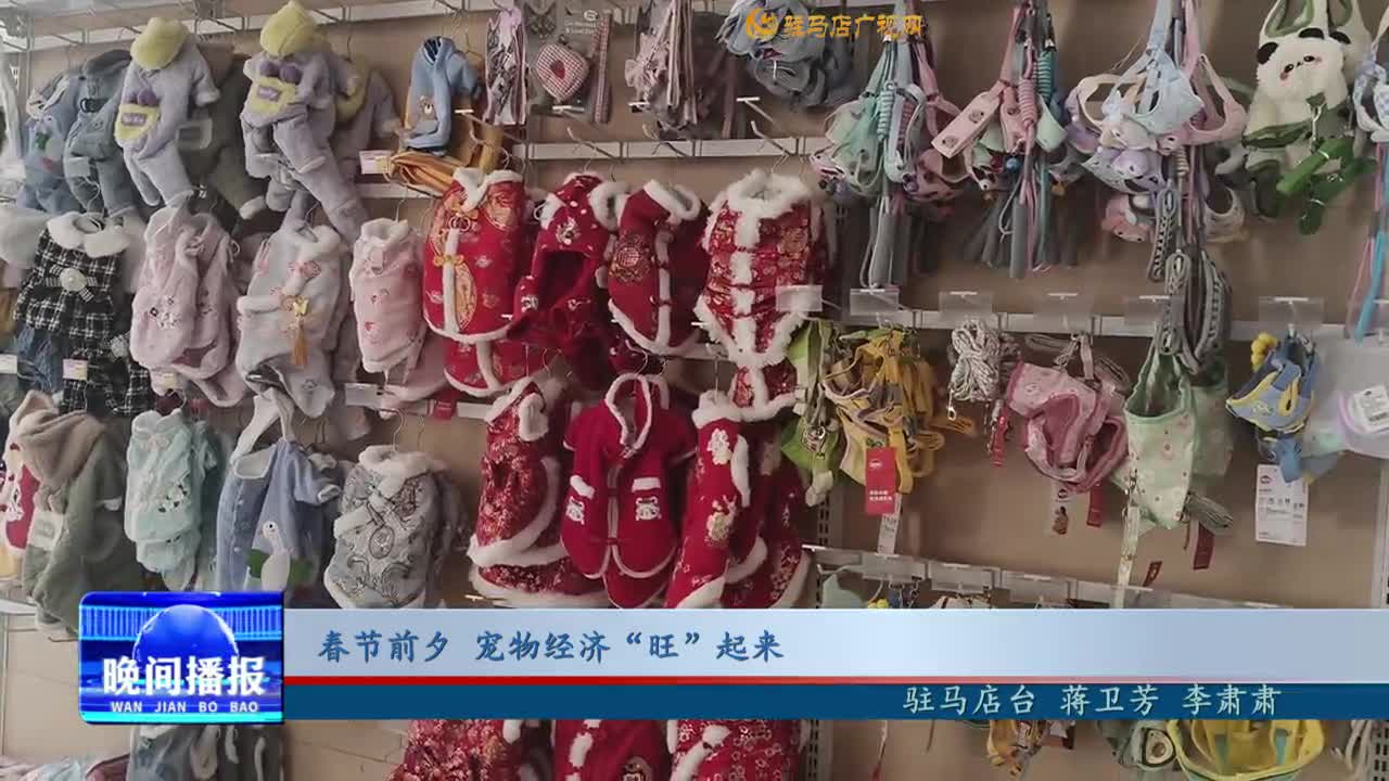 春節(jié)前夕 寵物經濟“旺”起來