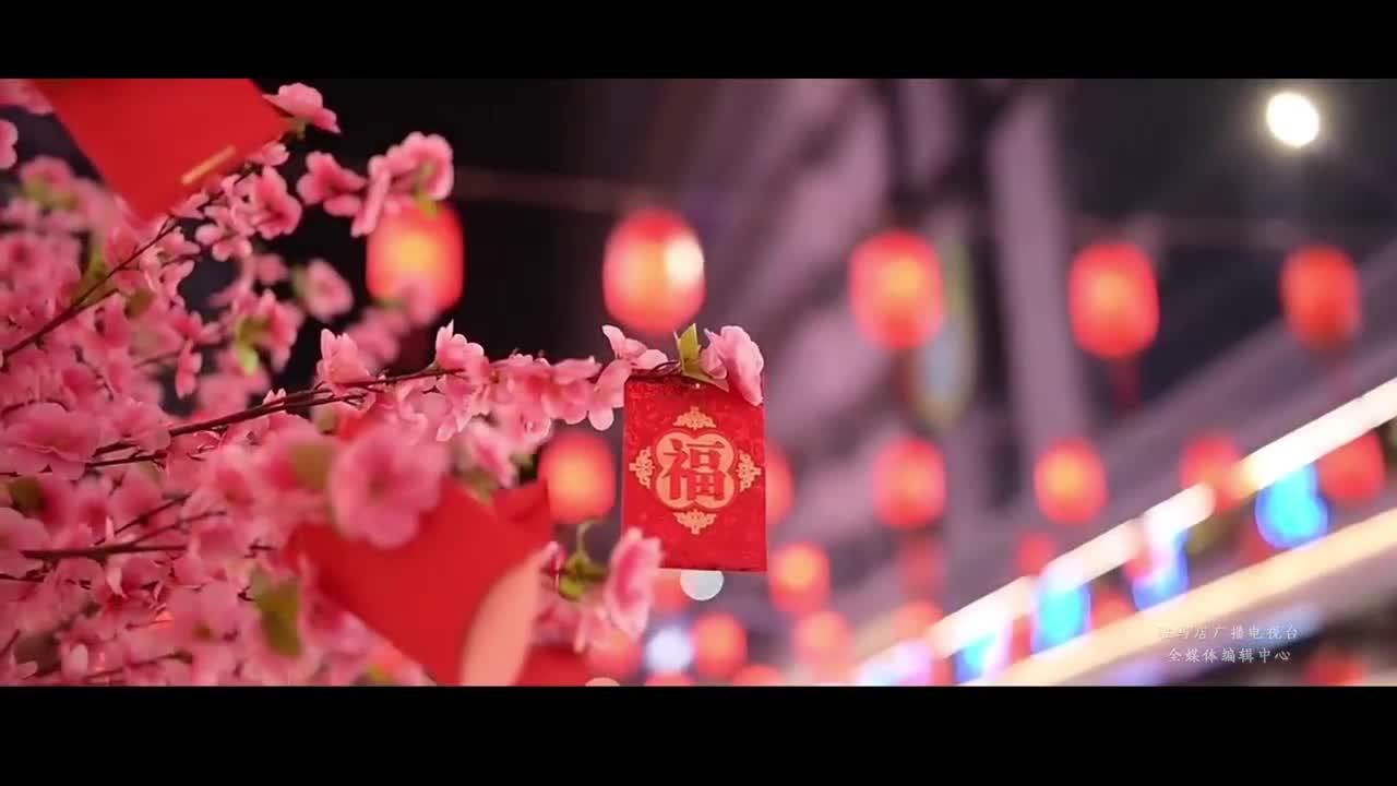 駐馬店的老鄉(xiāng)們，回家過年了！