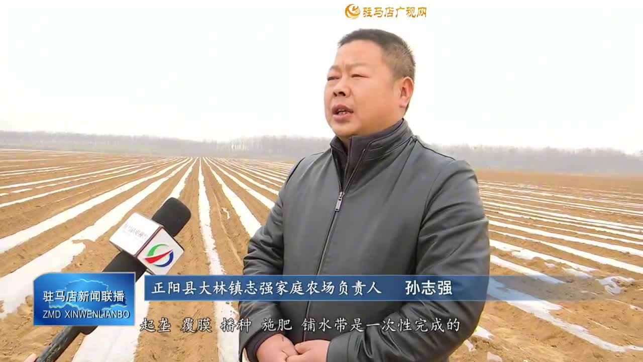 【一村一品話振興】正陽縣大林鎮(zhèn)：“薯”光照亮群眾增收路