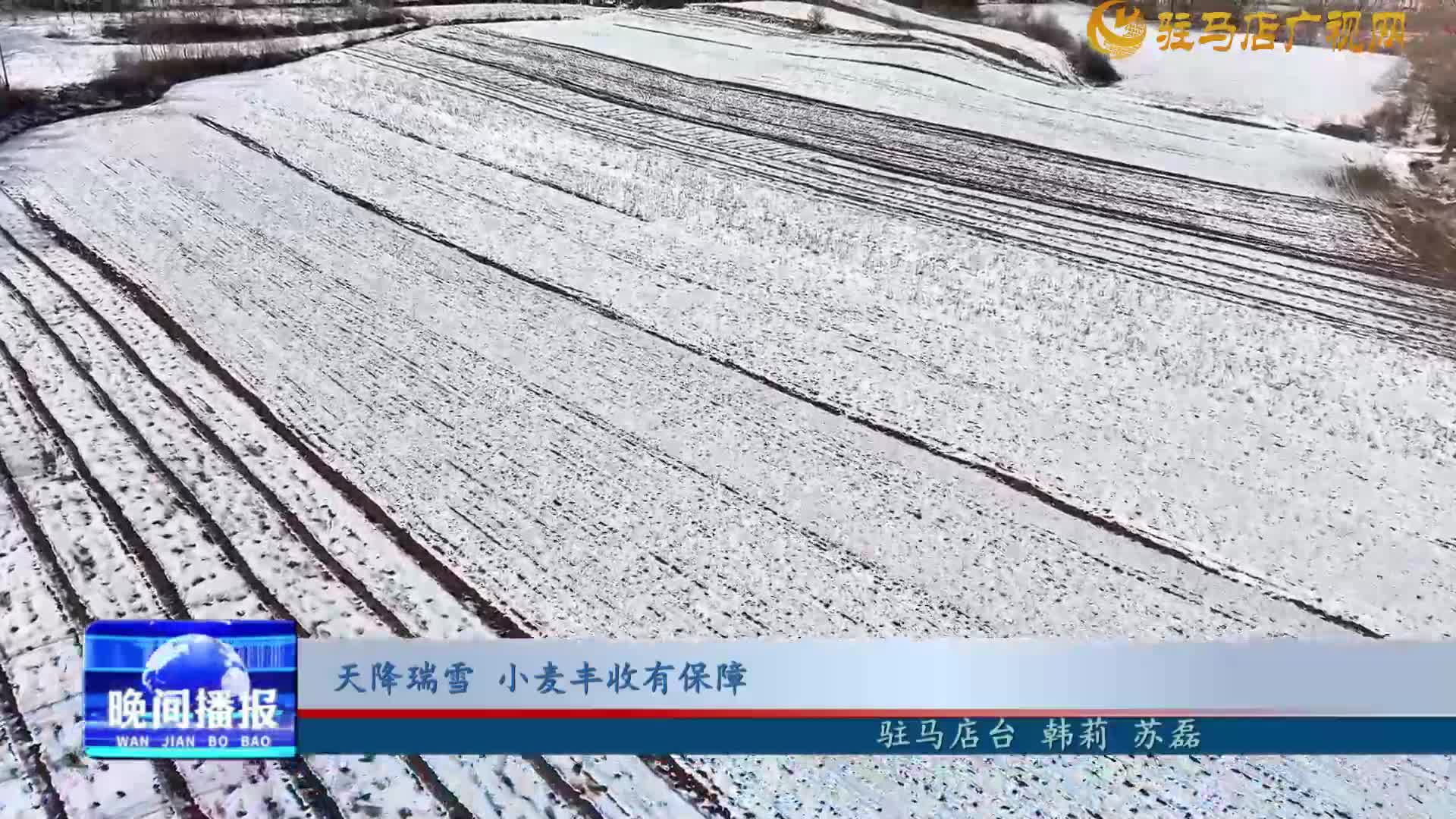 天降瑞雪 小麥豐收有保障