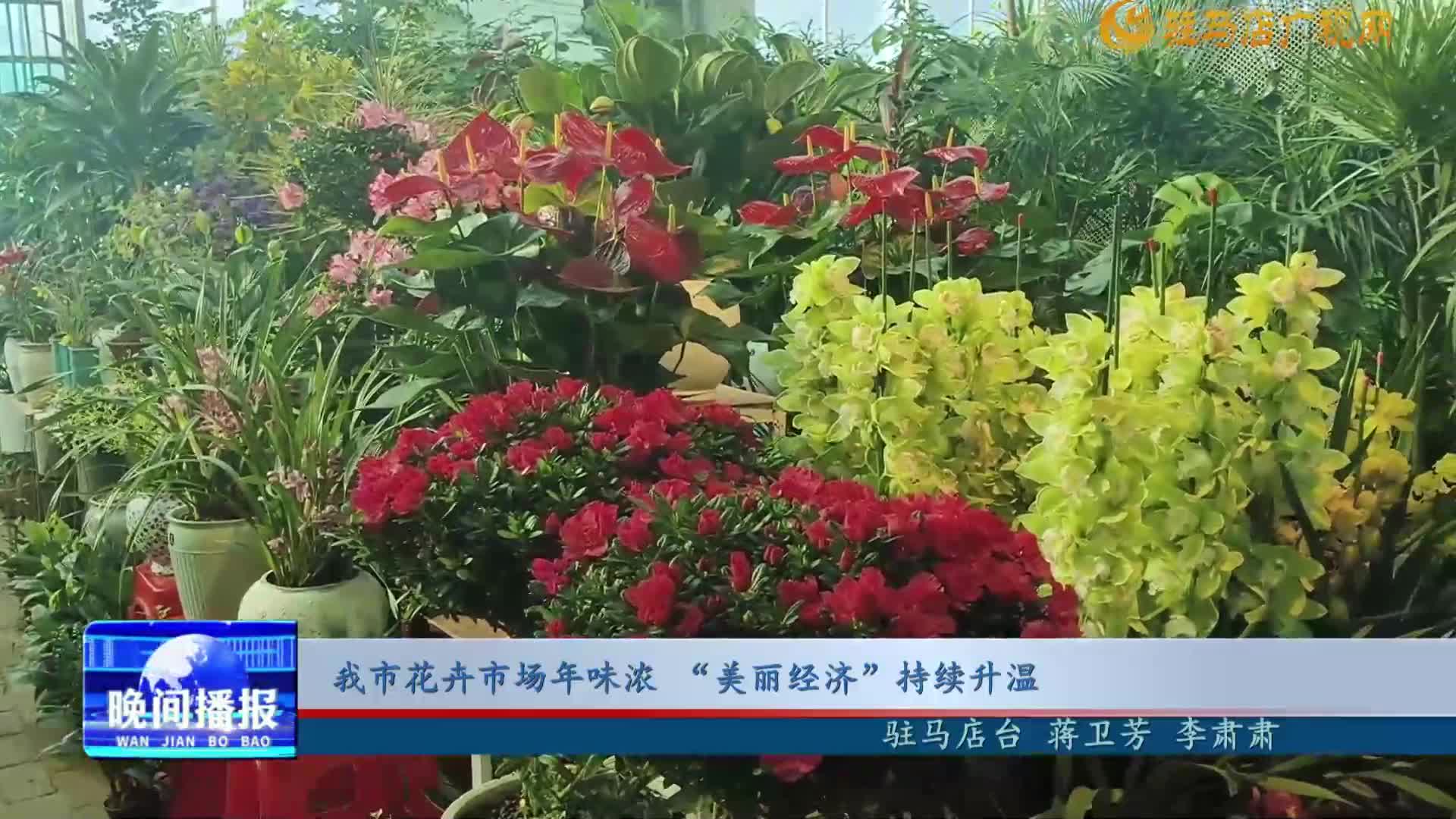 我市花卉市場年味濃 “美麗經(jīng)濟”持續(xù)升溫