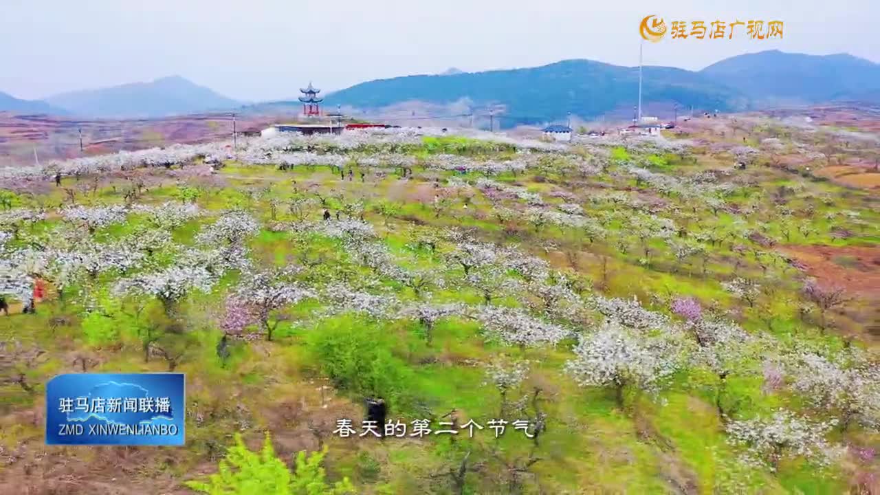 今日雨水