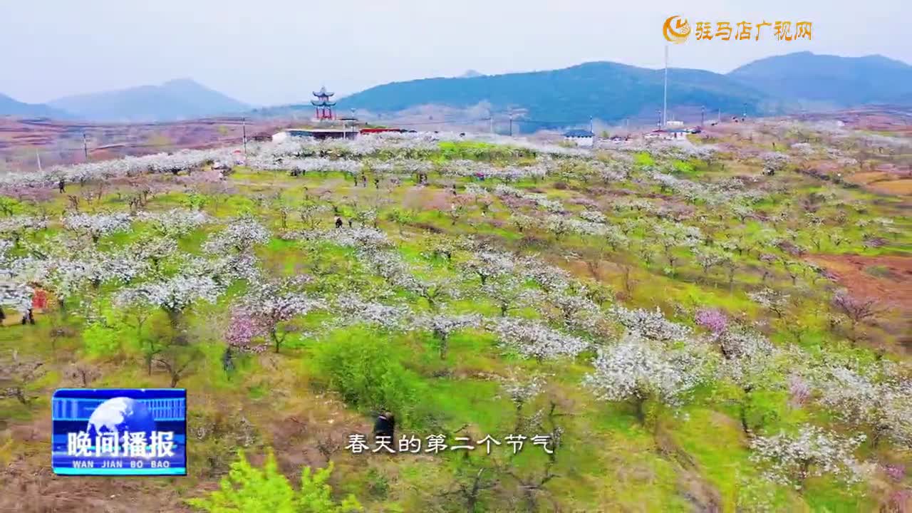 雨水至 萬物生