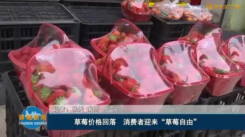 草莓價格回落  消費者迎來“草莓自由”