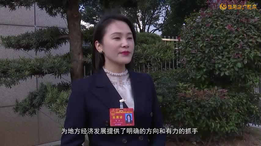 驛城區(qū)人大代表和政協(xié)委員熱議政府工作報(bào)告