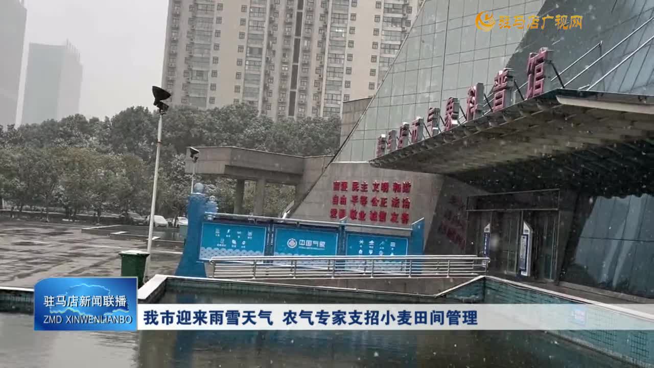 我市迎來雨雪天氣 農(nóng)氣專家支招小麥田間管理