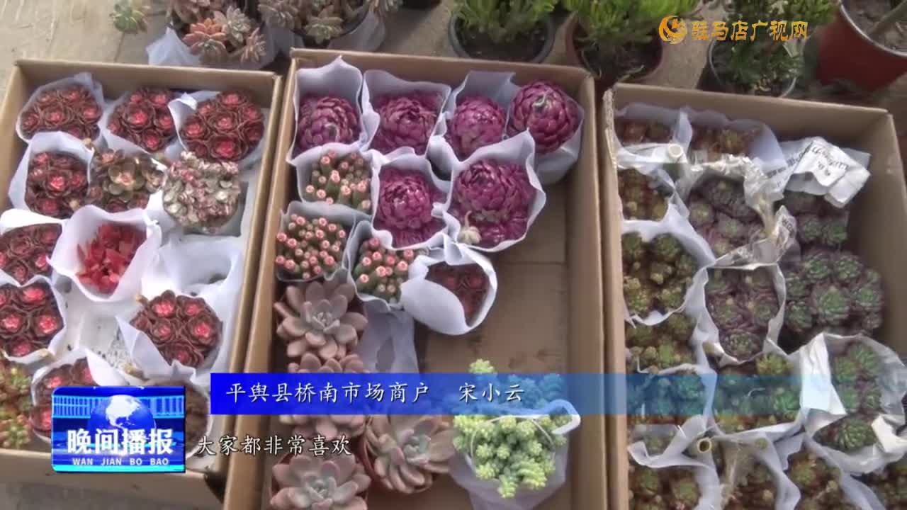 平輿縣：苗木俏銷 新春栽綠成時(shí)尚