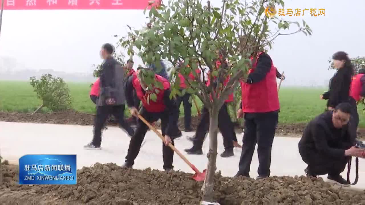 我市各地開展植樹節(jié)活動 共建美麗家園