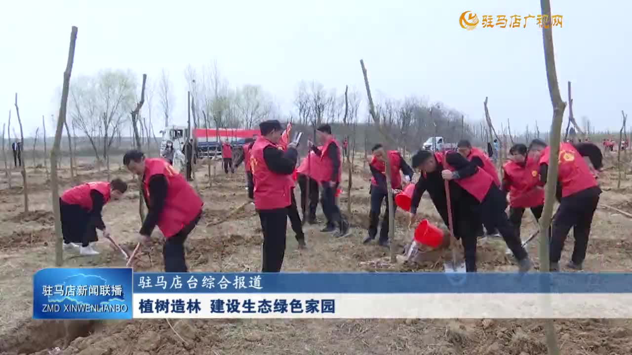 植樹(shù)造林 建設(shè)生態(tài)綠色家園