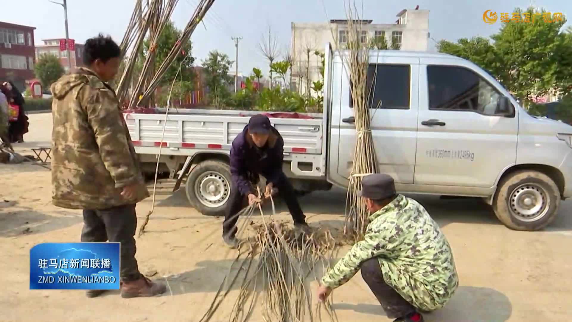 正陽：人勤春來草 苗木正俏銷