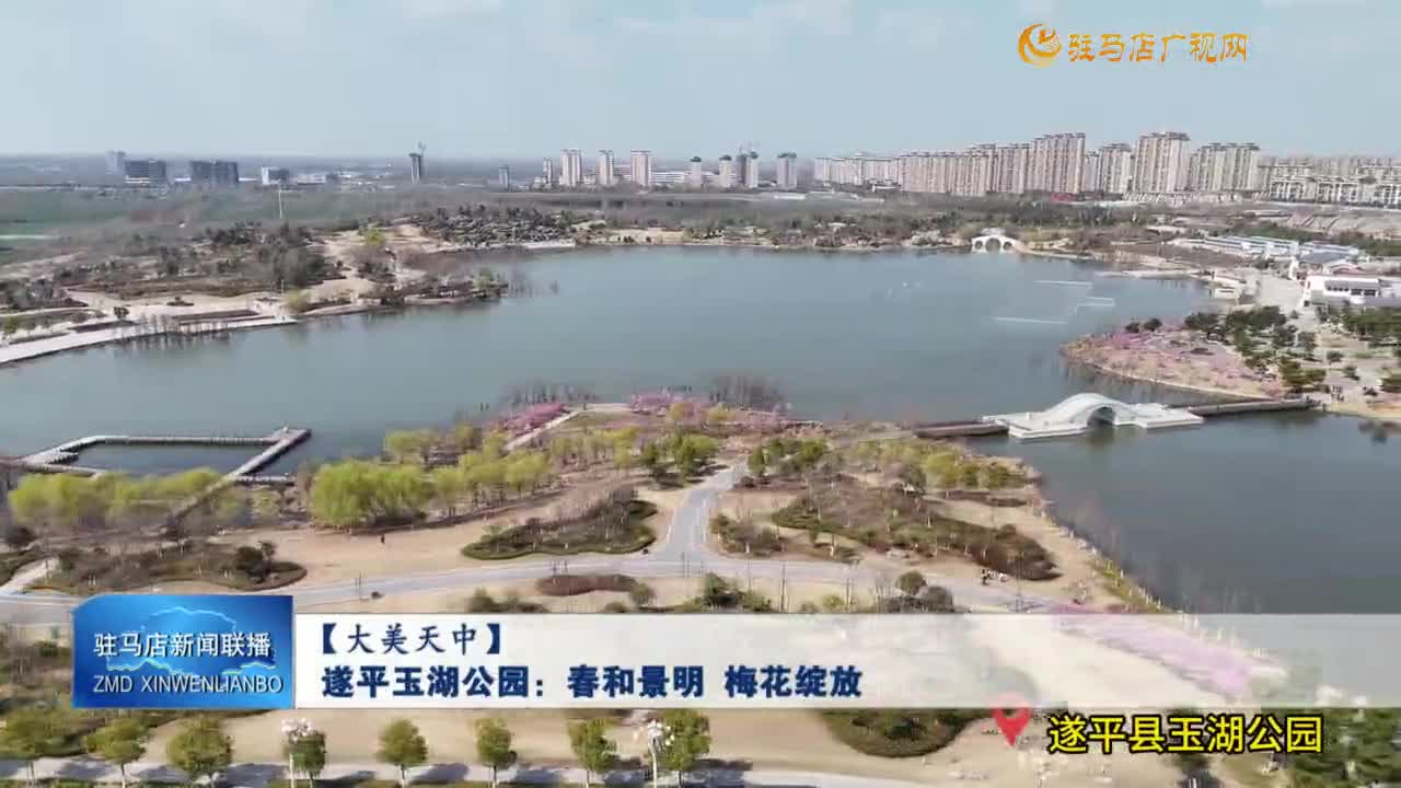 【大美天中】遂平玉湖公園：春和景明 梅花綻放