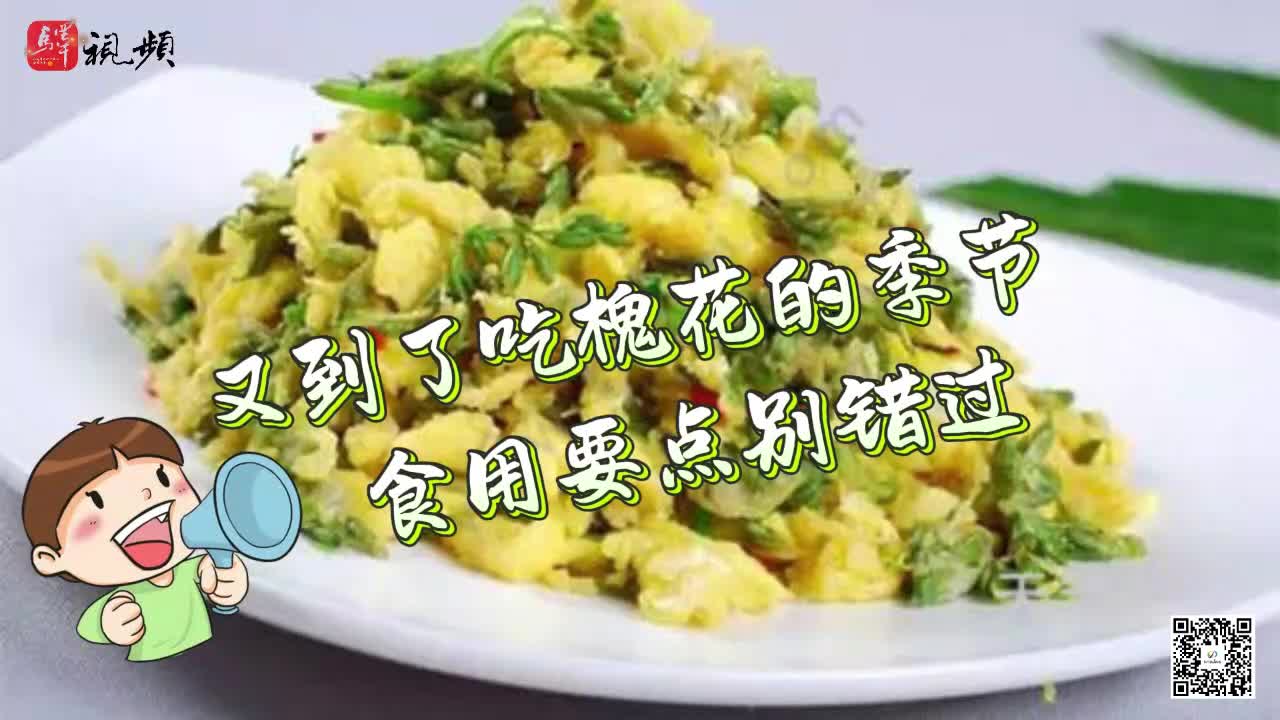 又到一年槐花季 槐花入口必須注意這些!.....|《今日駐馬店》資訊第116期