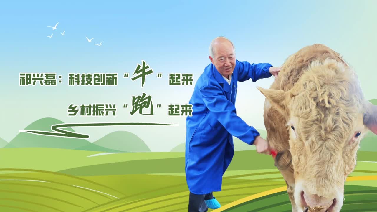 祁興磊：科技創(chuàng)新“?！逼饋?lái)，鄉(xiāng)村振興“跑”起來(lái)......|《今日駐馬店》資訊第117期