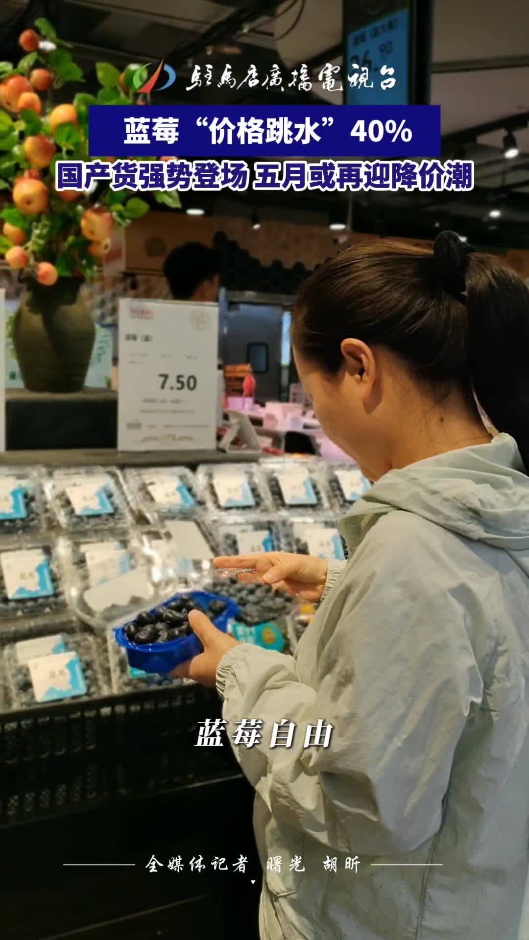  藍莓“價格跳水”40% 國產(chǎn)貨強勢登場 五月或再迎降價潮#降價#藍莓#民生#駐馬店
