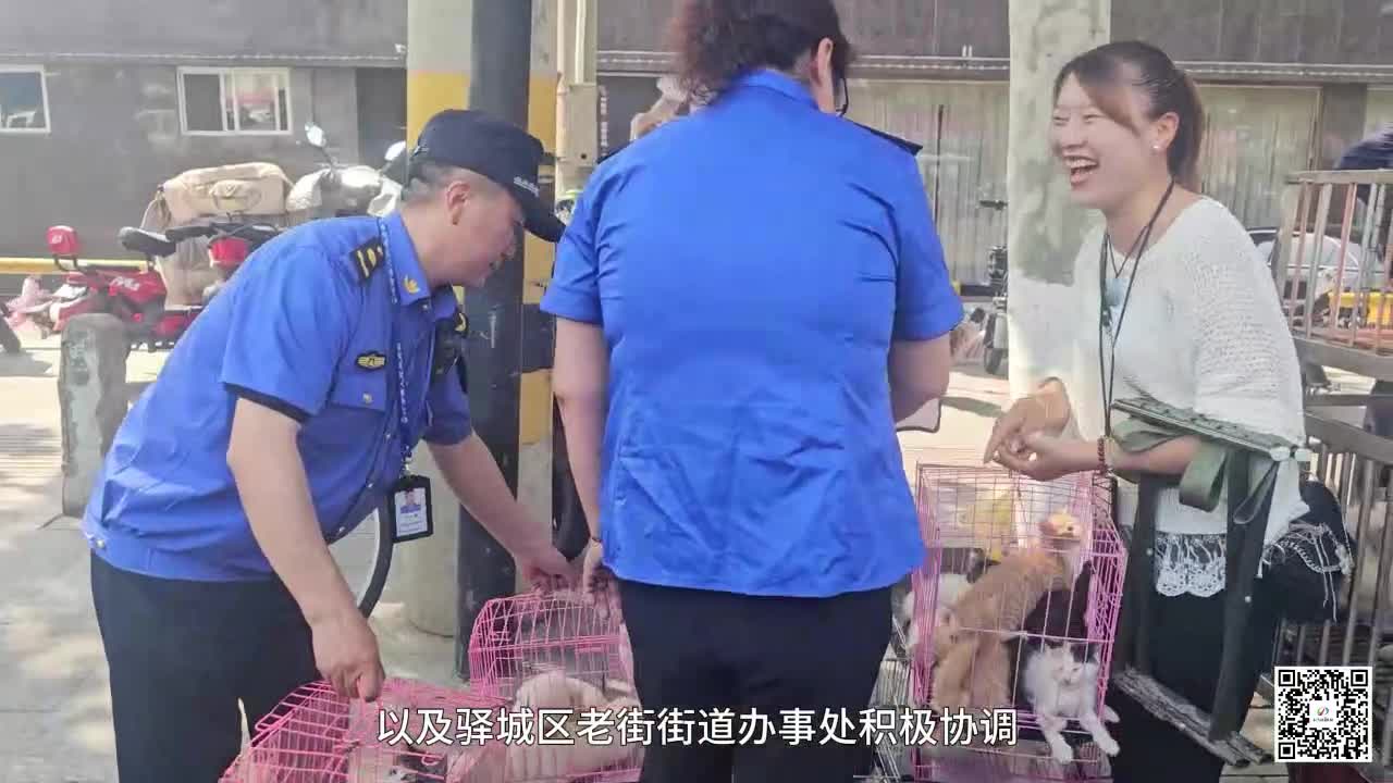 新寵物市場(chǎng)啟用 占道擾民問(wèn)題成歷史