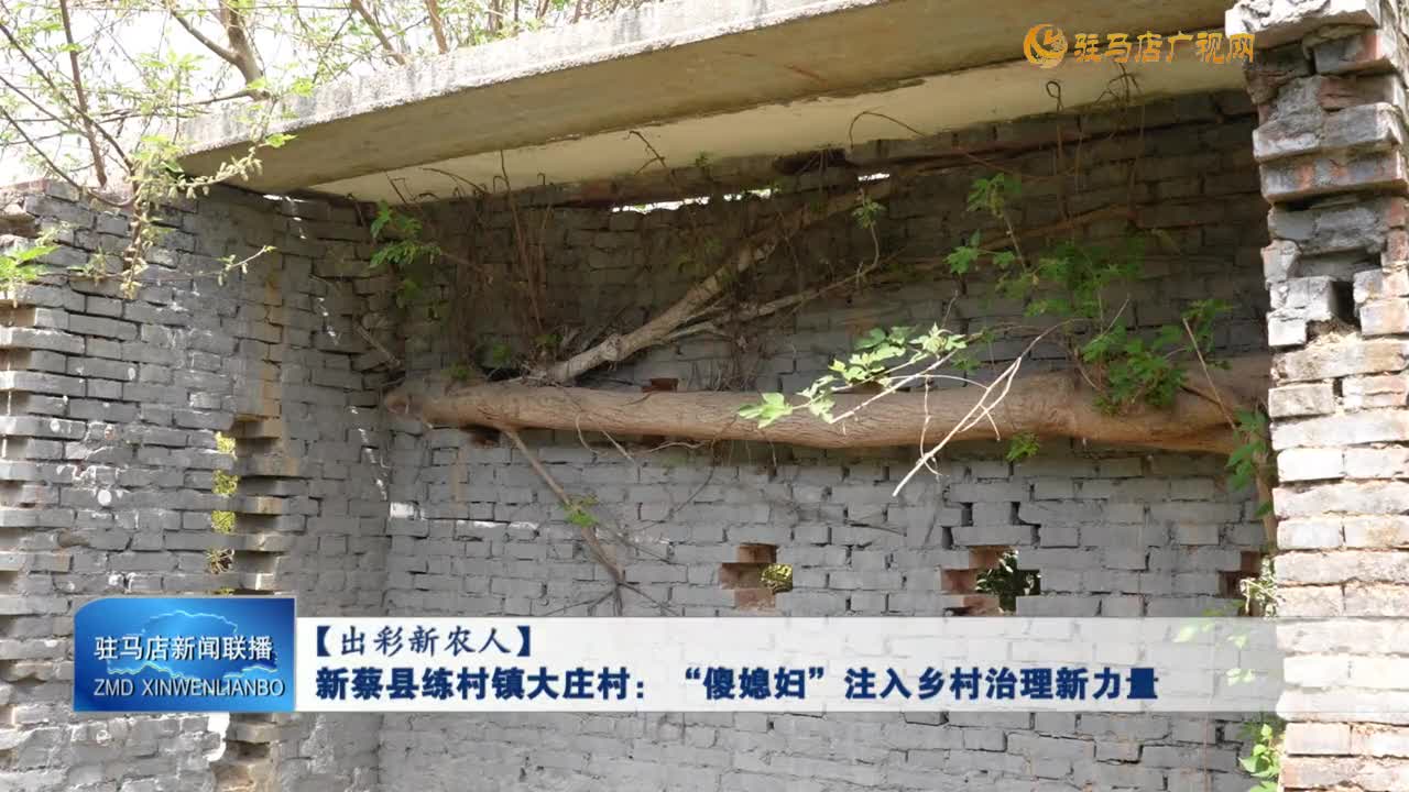 【出彩新農(nóng)人】新蔡縣練村鎮(zhèn)大莊村：“傻媳婦”注入鄉(xiāng)村治理新力量