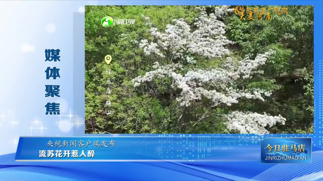 【媒體聚焦】流蘇花開(kāi)惹人醉......