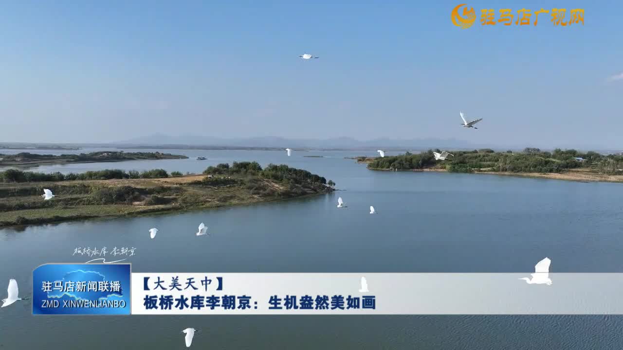 【大美天中】板橋水庫李朝京：生機(jī)盎然美如畫