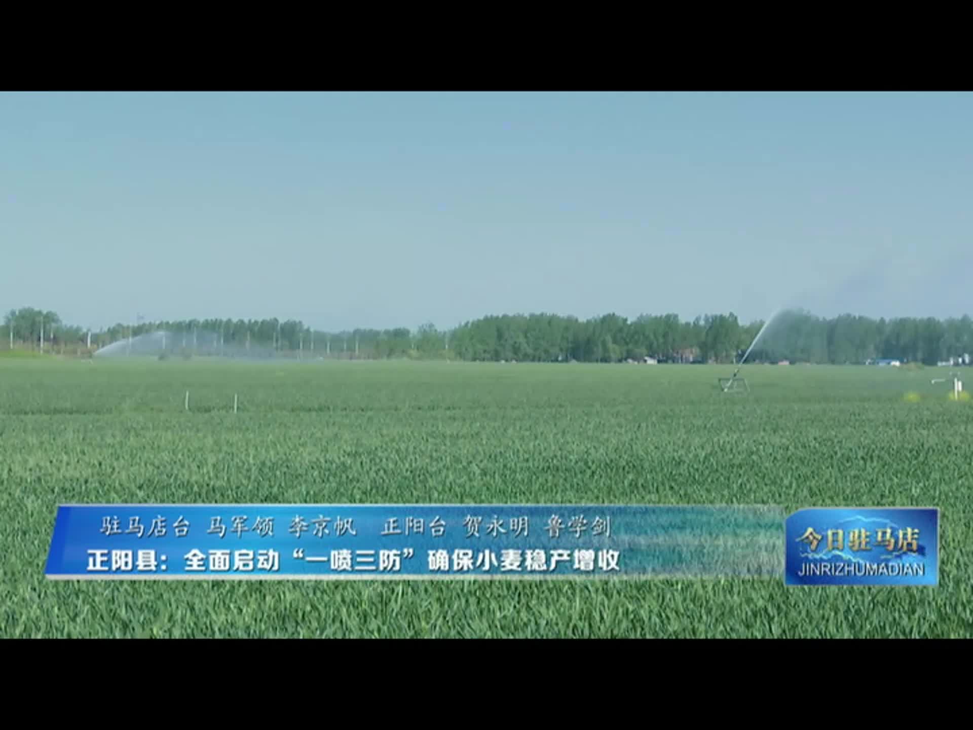 正阳县：全面启动“一喷三防” 确保小麦稳产增收