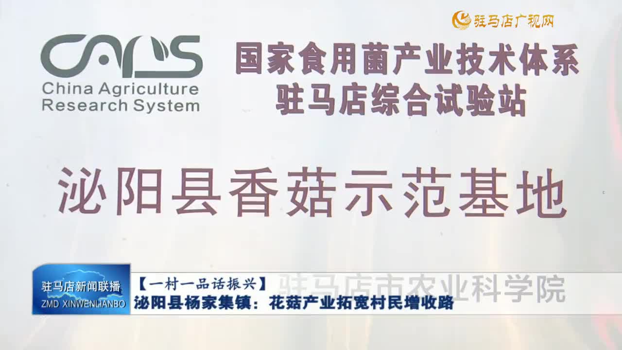【一村一品話振興】泌陽縣楊家集鎮(zhèn)：花菇產(chǎn)業(yè)拓寬村民增收路