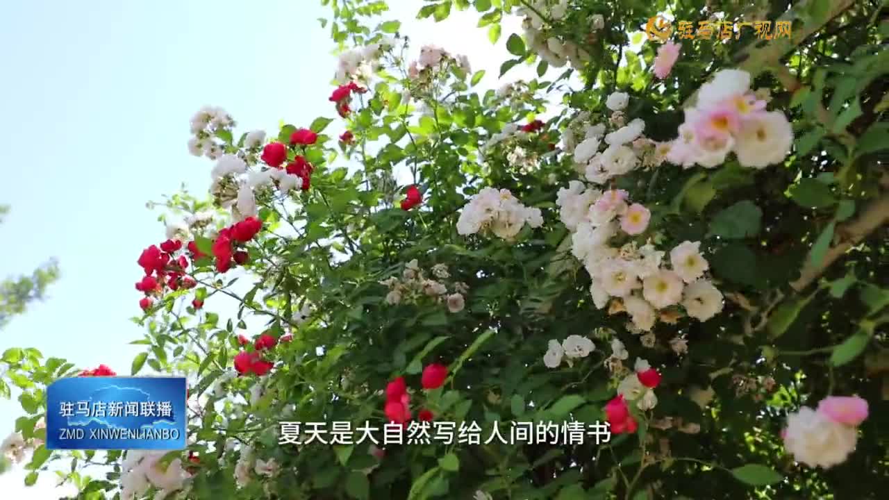 今日立夏