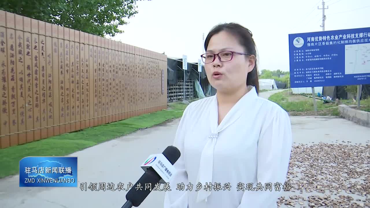 泌阳县杨家集镇：花菇产业拓宽村民增收路