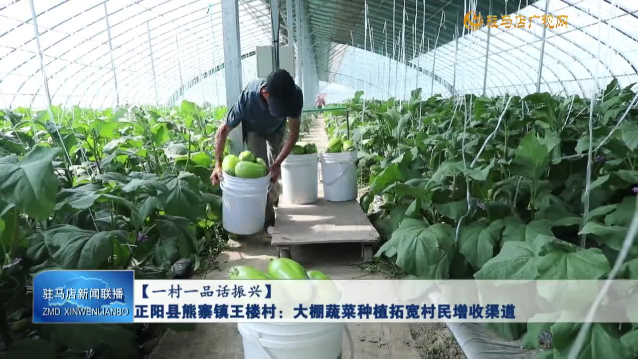 正陽縣熊寨鎮(zhèn)王樓村：大棚蔬菜種植拓寬村民增收渠道