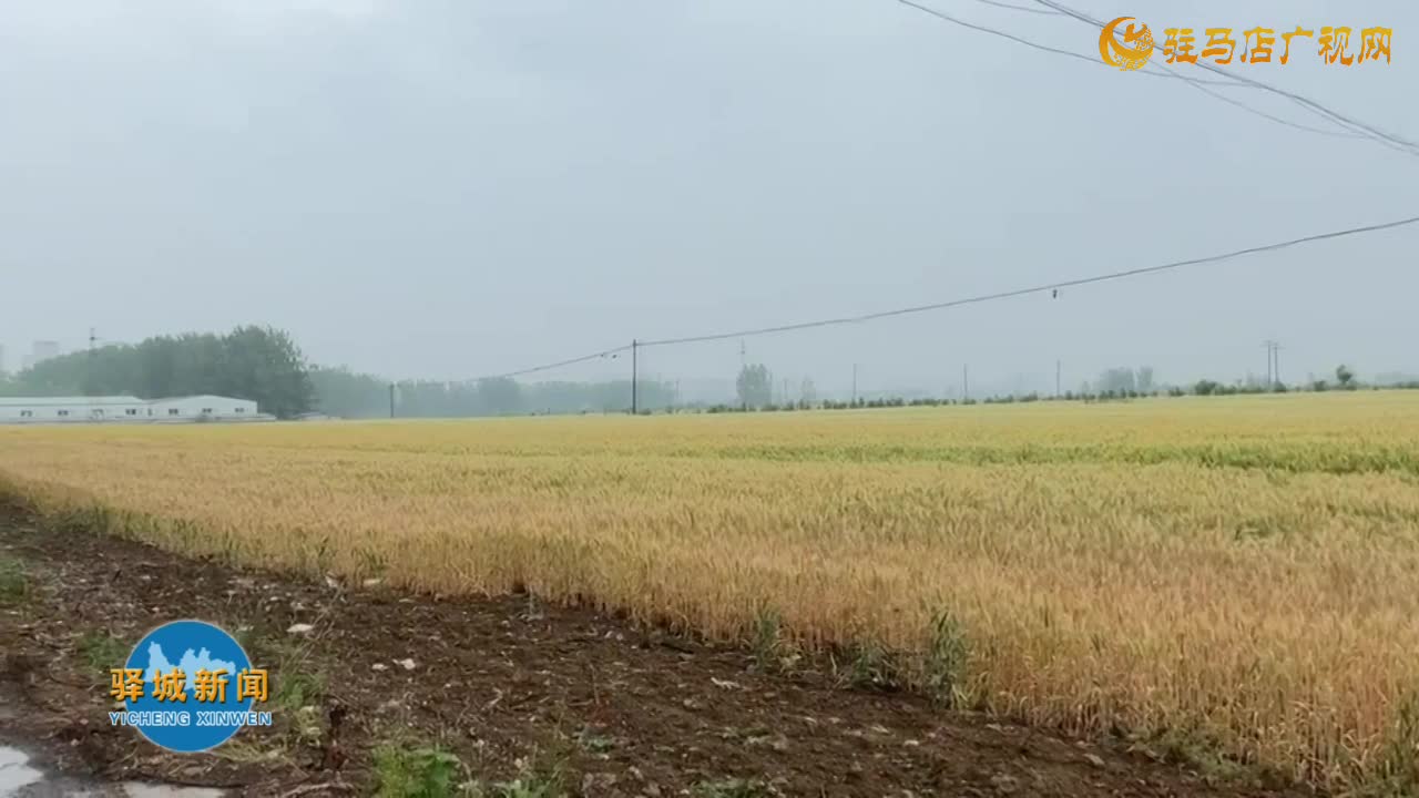 驛城區(qū)：實施人工增雨 助力抗旱保民生
