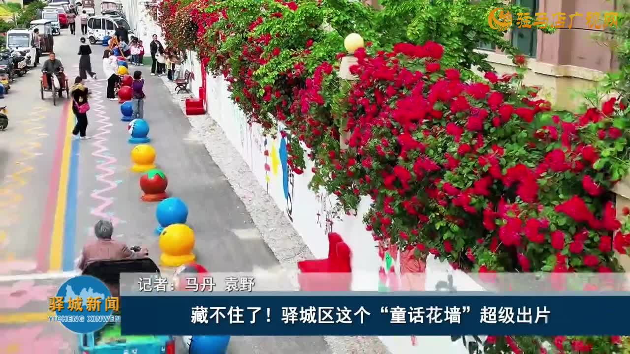 藏不住了！驛城區(qū)這個(gè)“童話花墻”超級(jí)出片