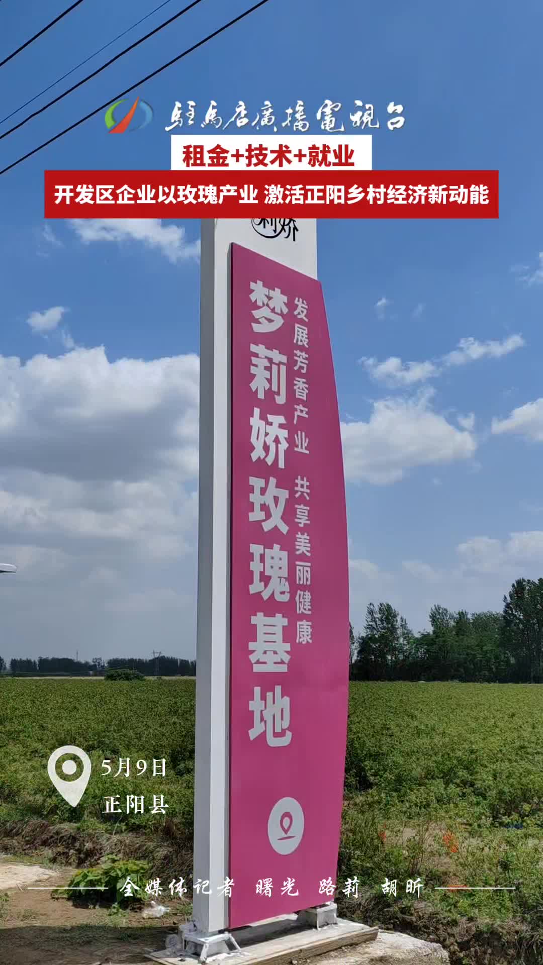 租金+技术+就业 开发区企业以玫瑰产业 激活正阳乡村经济新动能#企业#带动乡村经济#驻马店