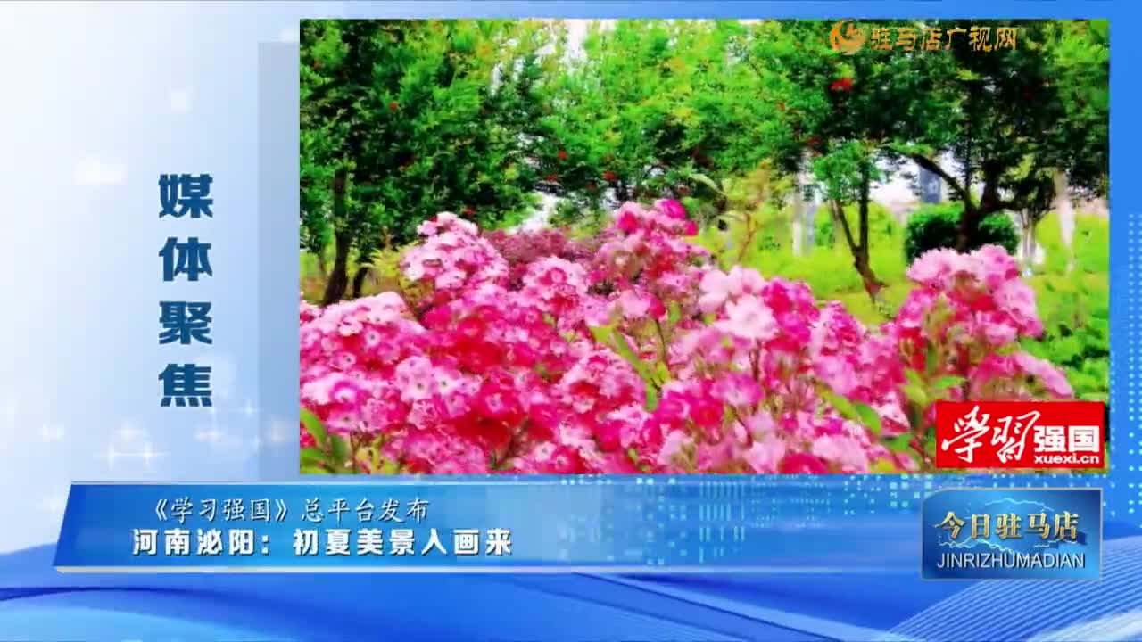 【媒体聚焦】河南泌阳：初夏美景入画来......