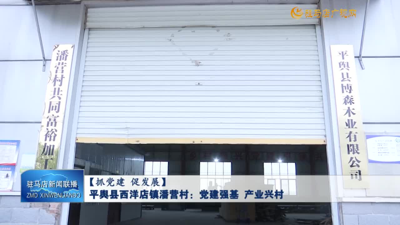 【抓党建 促发展】平舆县西洋店镇潘营村：党建强基 产业兴村