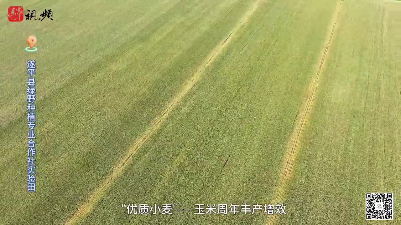 揭秘3600畝“實(shí)驗(yàn)場(chǎng)”小麥怎樣做到高產(chǎn)又暢銷(xiāo)......|《今日駐馬店》資訊第126期