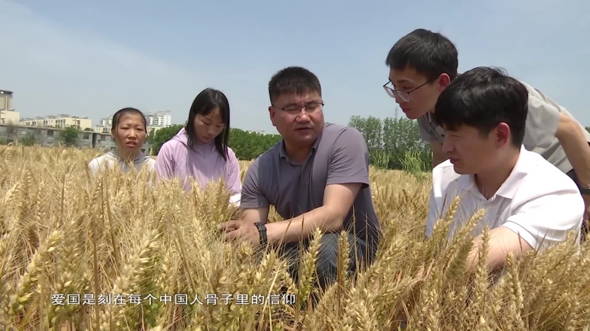 宋全昊：扎根科研一线 践行青春担当