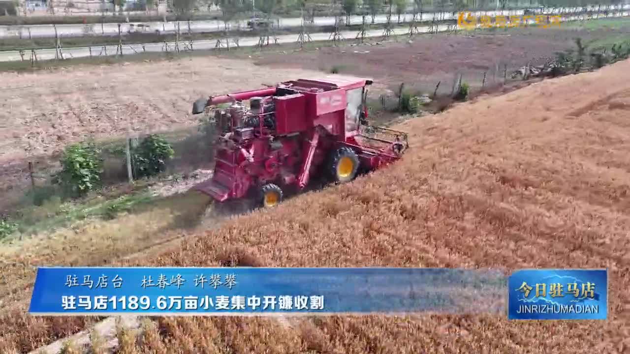 驻马店1189.6万亩小麦集中开镰收割